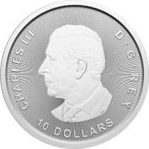 Canada 10 Dollars Argent 2025 - L\'oie - 2 Onces