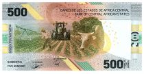 Central African States 500 Francs - Central Bank of Youandé - 2020 (2022) - Letter F1