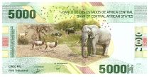 Central African States 5000 Francs - Central Bank of Youandé - 2020 (2022) - Letter C8