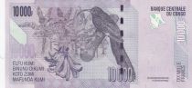 Congo (RDC) 10000 Francs - Statue - Gnu, birds - 2022