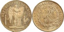 France 20 Francs Gold Genius - 1895 A Paris