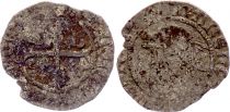 France Charles VIII - Liard with Dolphin  - 1483 / 1498