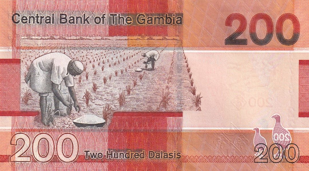 Banknote Gambia Dalasis Bird Bush Fowl