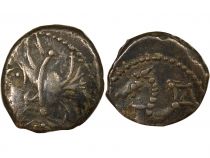 Gaul Allobroges - Denarius with Seahorse, Head left- Ist Century BC