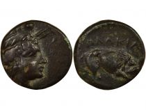 Grèce (Mysie) Mysie, Placia- Bronze - IVe Siècle Av JC