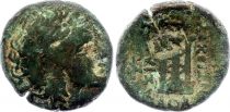 Greece (Seleucid Kingdom) Macédoine, Auguste - Assarion - 27 Av JC / 14