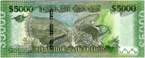 Guyana 5000 Dollars Arms - Island map -  ND (2019) - UNC