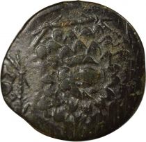 Kingdom of Pontus  Kingdom of Pontus, Mithridates VI - Tetrachalcus - Amisos 85 / 65 BC