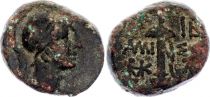 Pièce Kingdom of Pontus 1 Bronze A l\'Epée Mithridates VI 85-65 Av JC Amisos