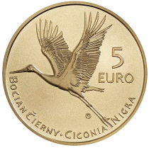 Slovakia 5 Euros 2022 - The black stork