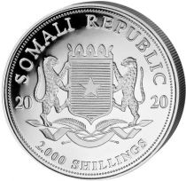 Somalie 1 Kilo Argent Somalie 2020 - Éléphant