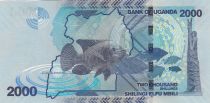 Uganda 2000 Shillings - Sea - Fish  - 2021 - Serial DN- P.NEW