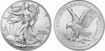 USA 1 Dollar American Eagle - Type 2 - 2022 - SILVER