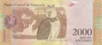 Venezuela 2000 Bolivares - Guaicaipuro - Owl - 18-08-2016 - Letter B